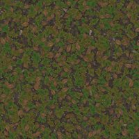 Asset preview